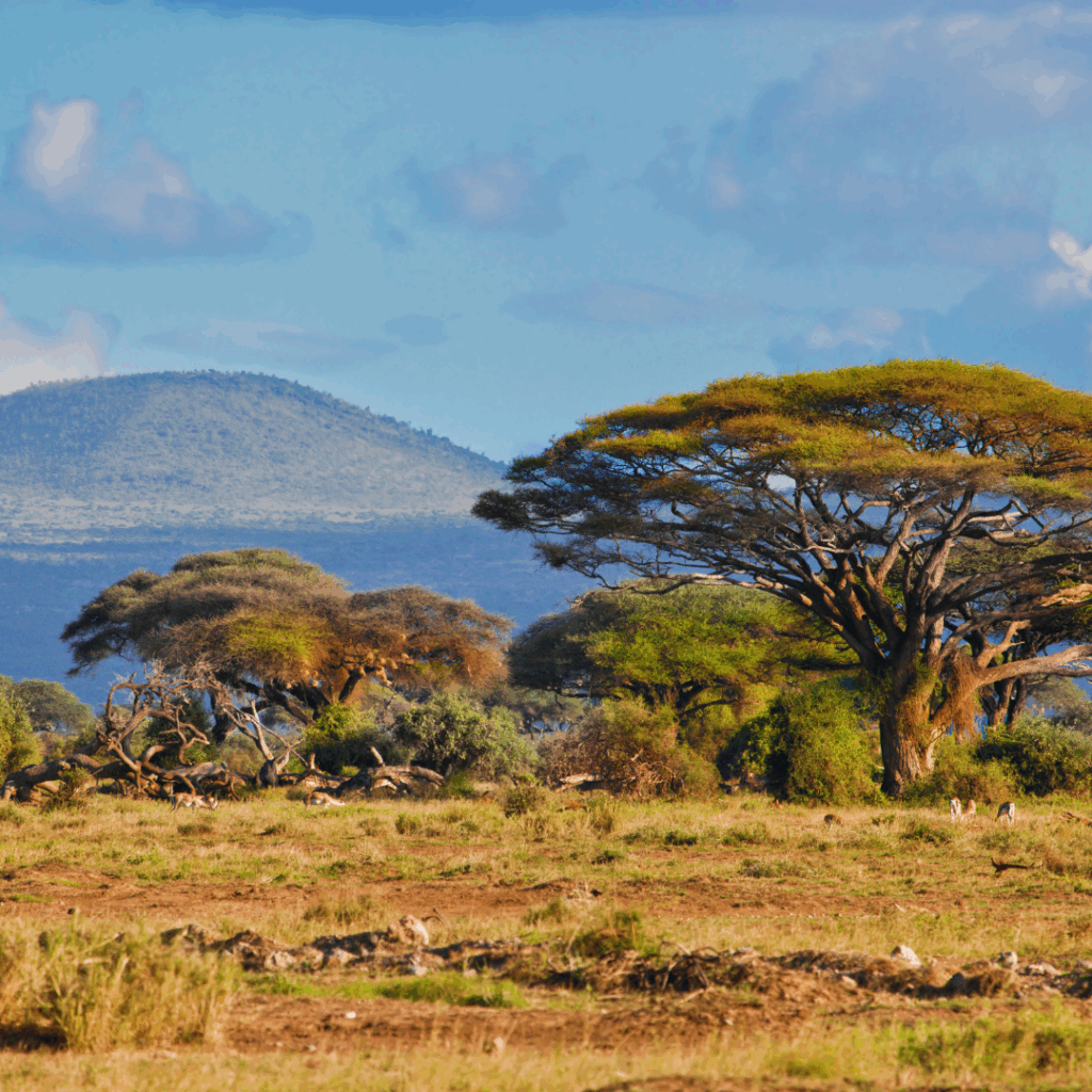 Kopie van Merksjabloon zonder titel
